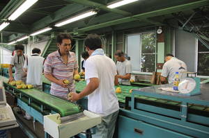 2012nasihatusyukka 007.jpg